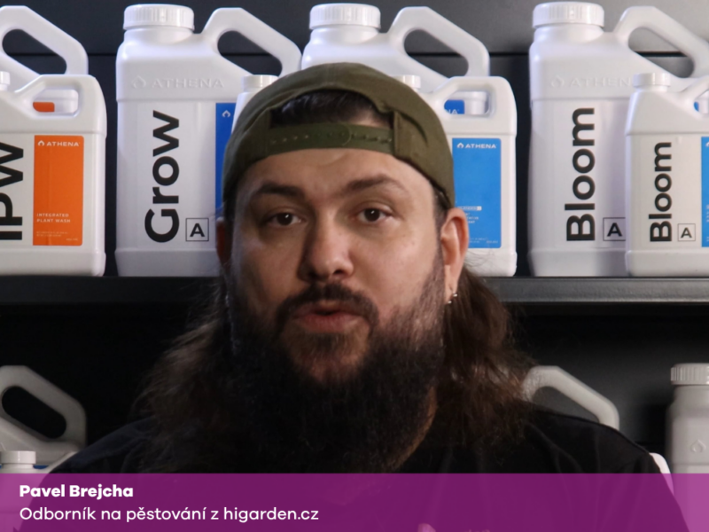 Škůdci, prevence a hygiena